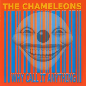 Why call it anything?